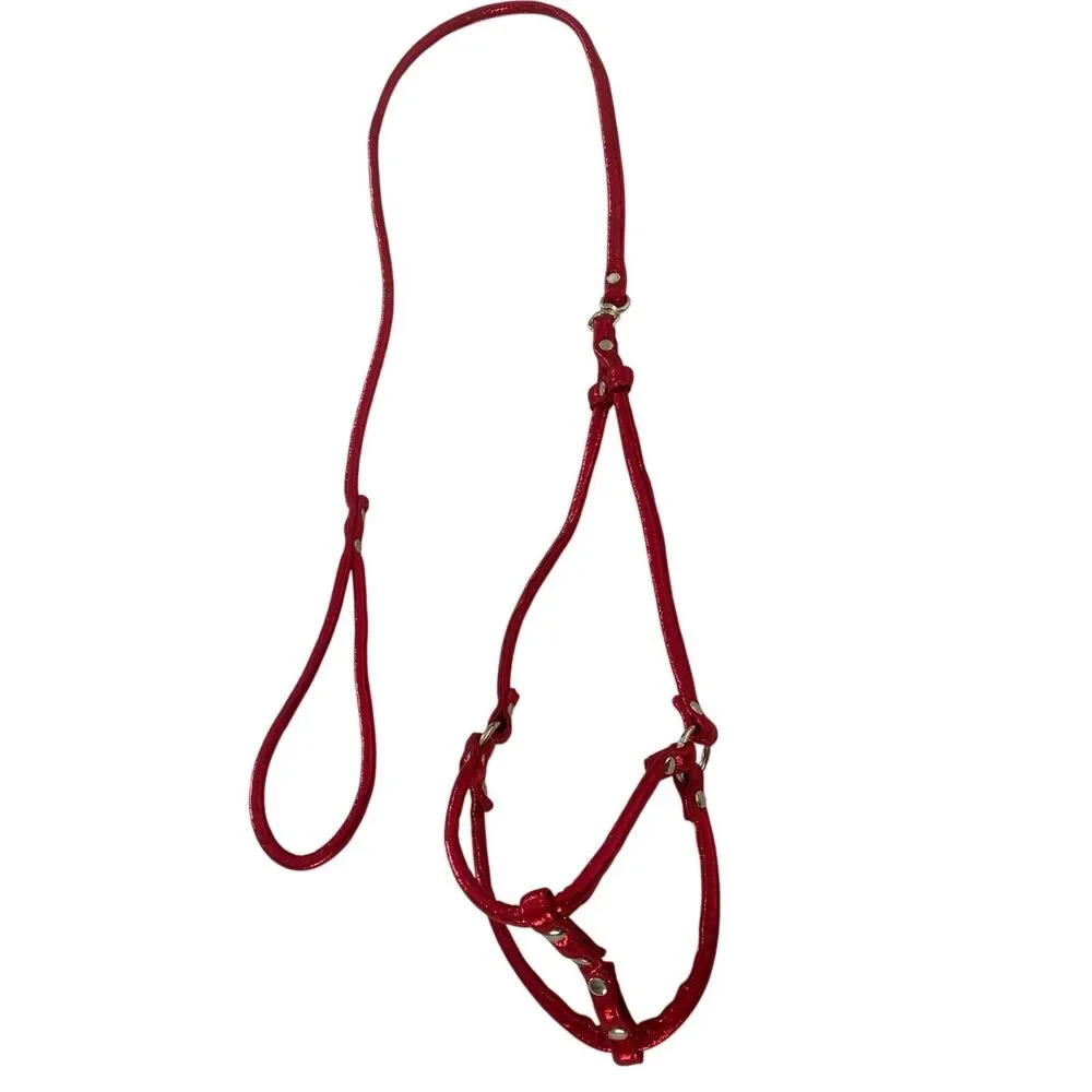 No-Pull Vegan Leather Step-In Pet Harness with Matching Leash Adjustable NoPull